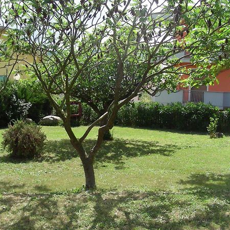 Pier Delle Vigne B&B Pineto Bagian luar foto