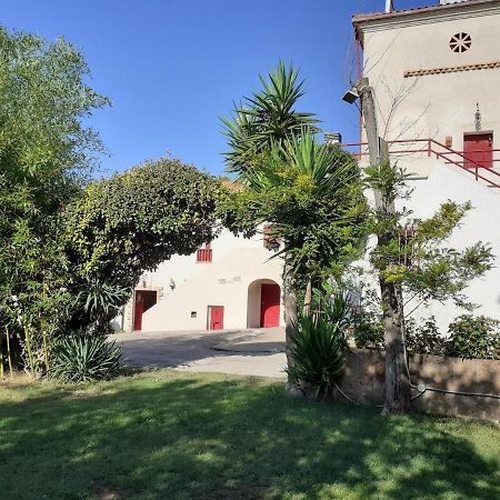Pier Delle Vigne B&B Pineto Bagian luar foto