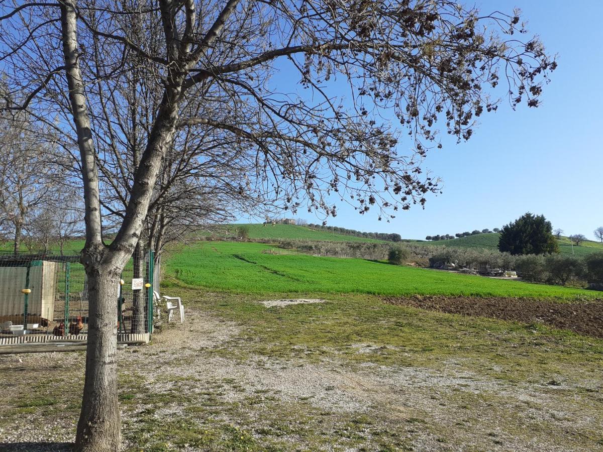 Pier Delle Vigne B&B Pineto Bagian luar foto