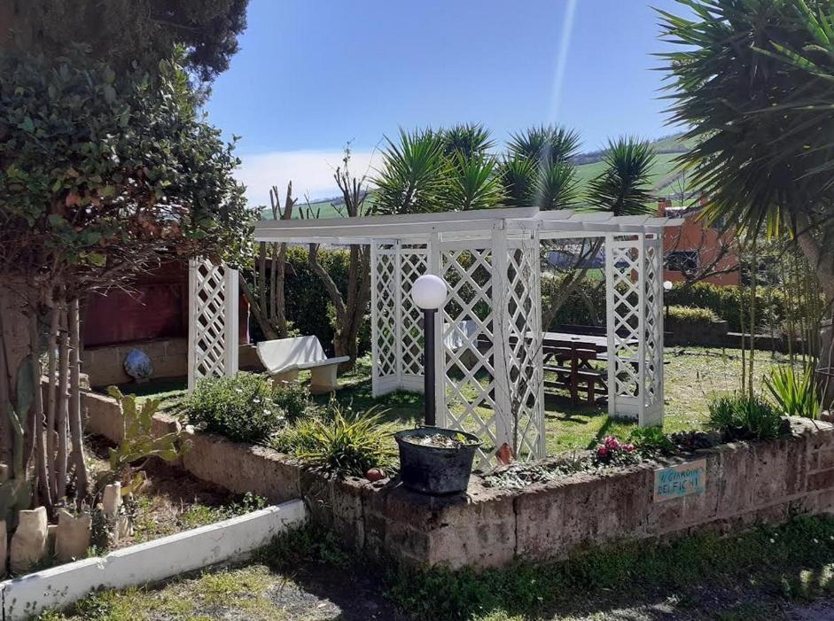 Pier Delle Vigne B&B Pineto Bagian luar foto