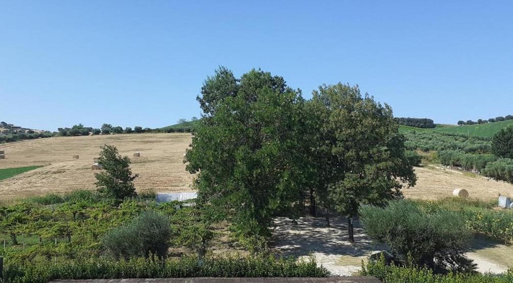Pier Delle Vigne B&B Pineto Bagian luar foto