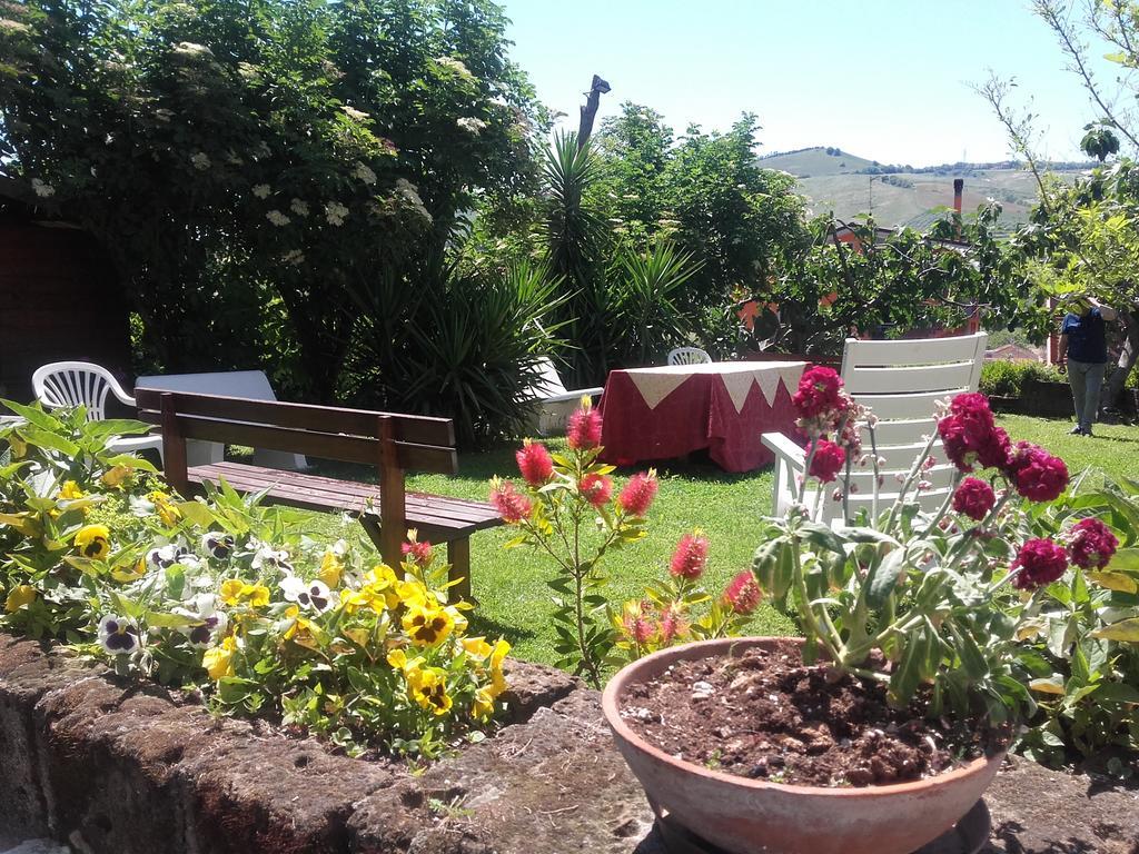 Pier Delle Vigne B&B Pineto Bagian luar foto