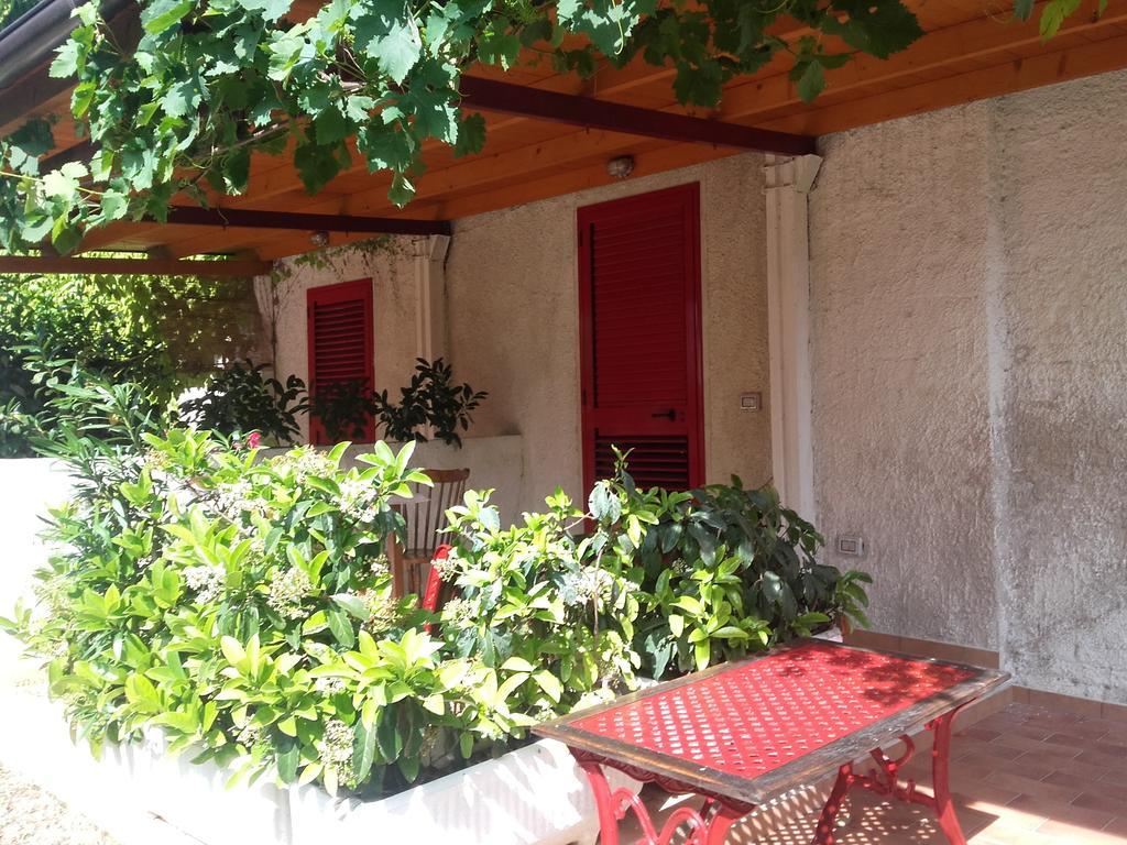 Pier Delle Vigne B&B Pineto Bagian luar foto