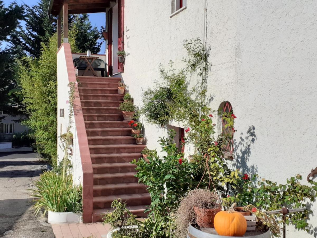 Pier Delle Vigne B&B Pineto Bagian luar foto