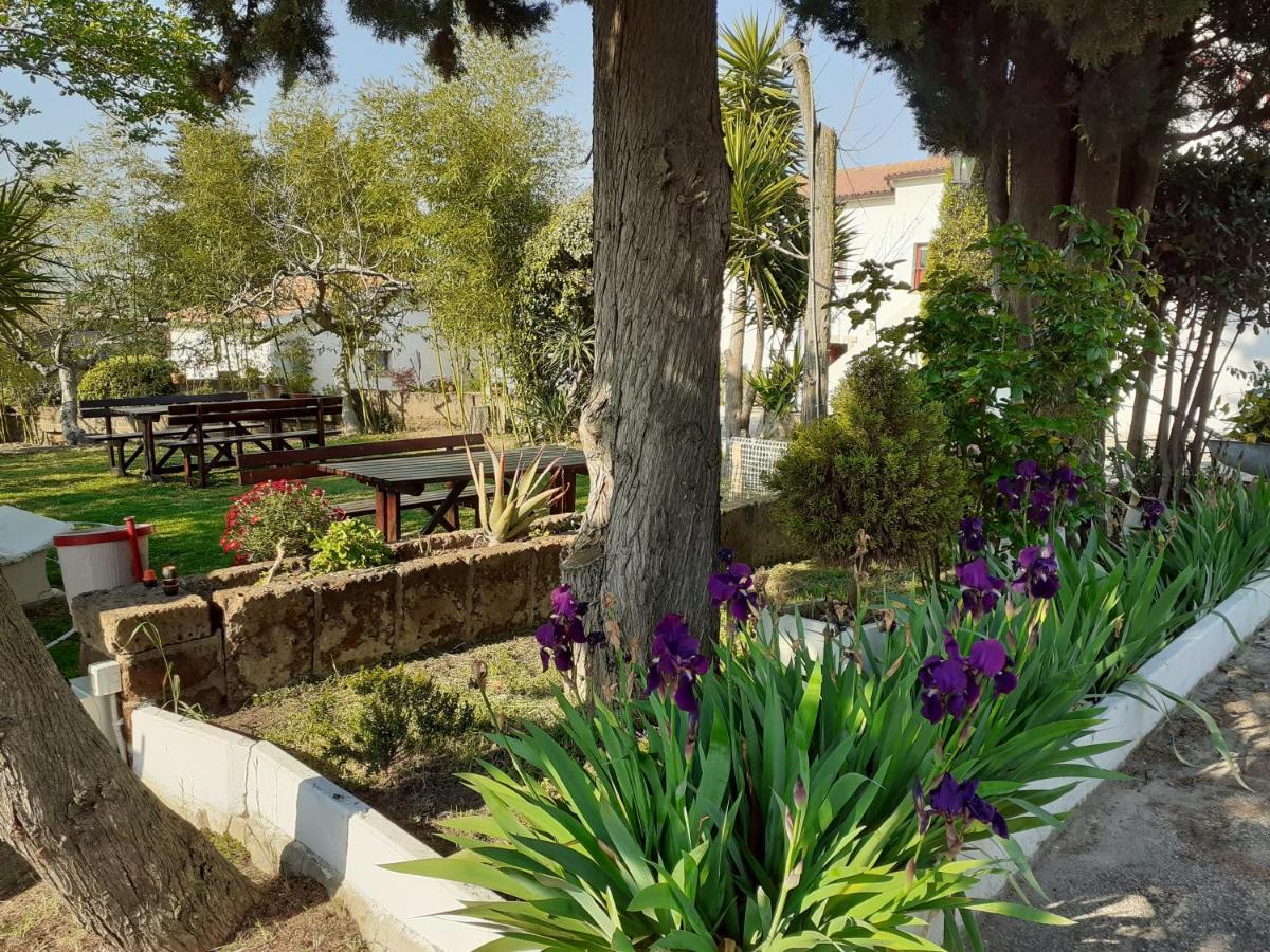 Pier Delle Vigne B&B Pineto Bagian luar foto