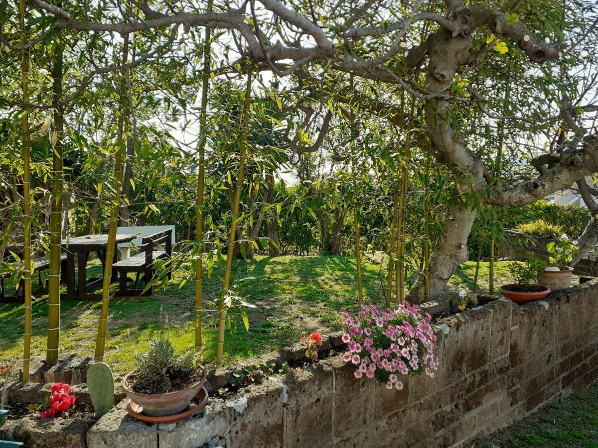 Pier Delle Vigne B&B Pineto Bagian luar foto