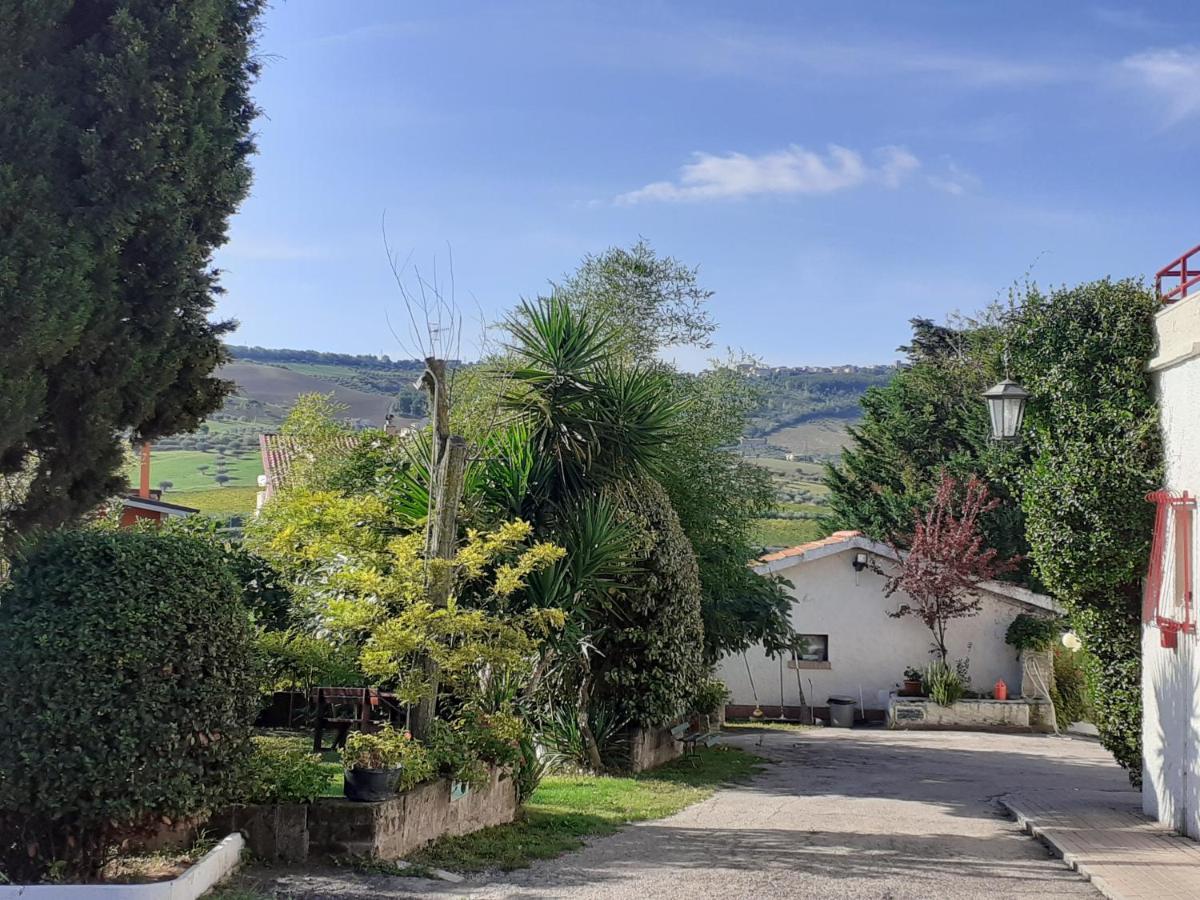 Pier Delle Vigne B&B Pineto Bagian luar foto