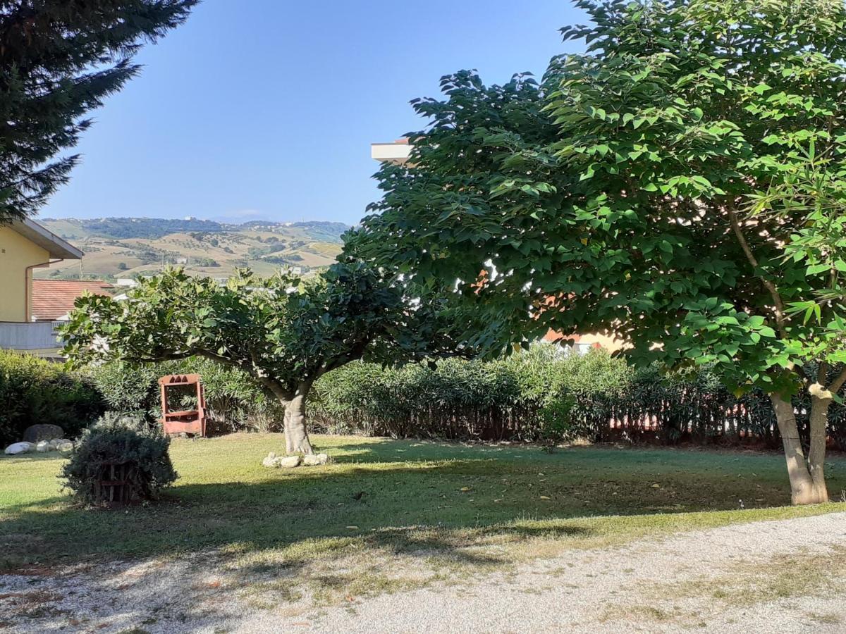 Pier Delle Vigne B&B Pineto Bagian luar foto