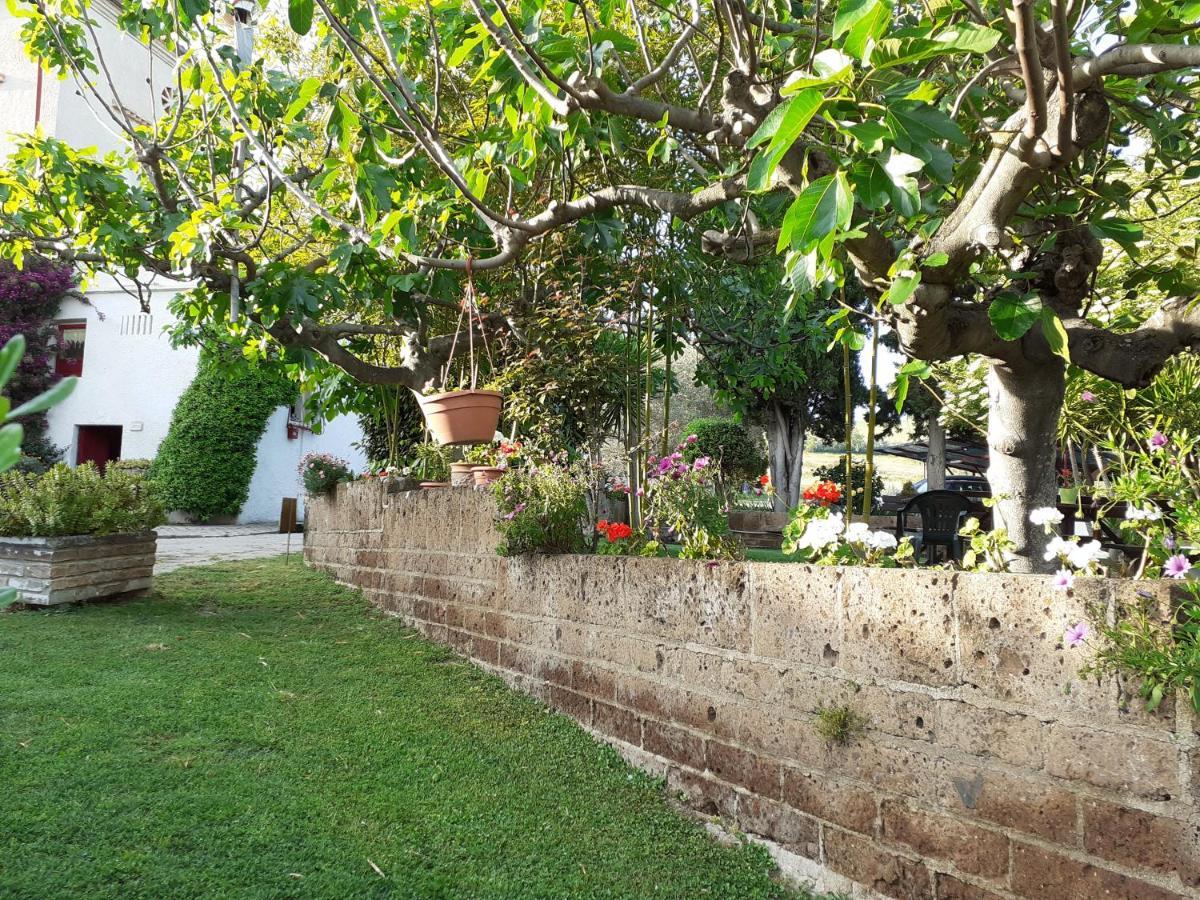 Pier Delle Vigne B&B Pineto Bagian luar foto