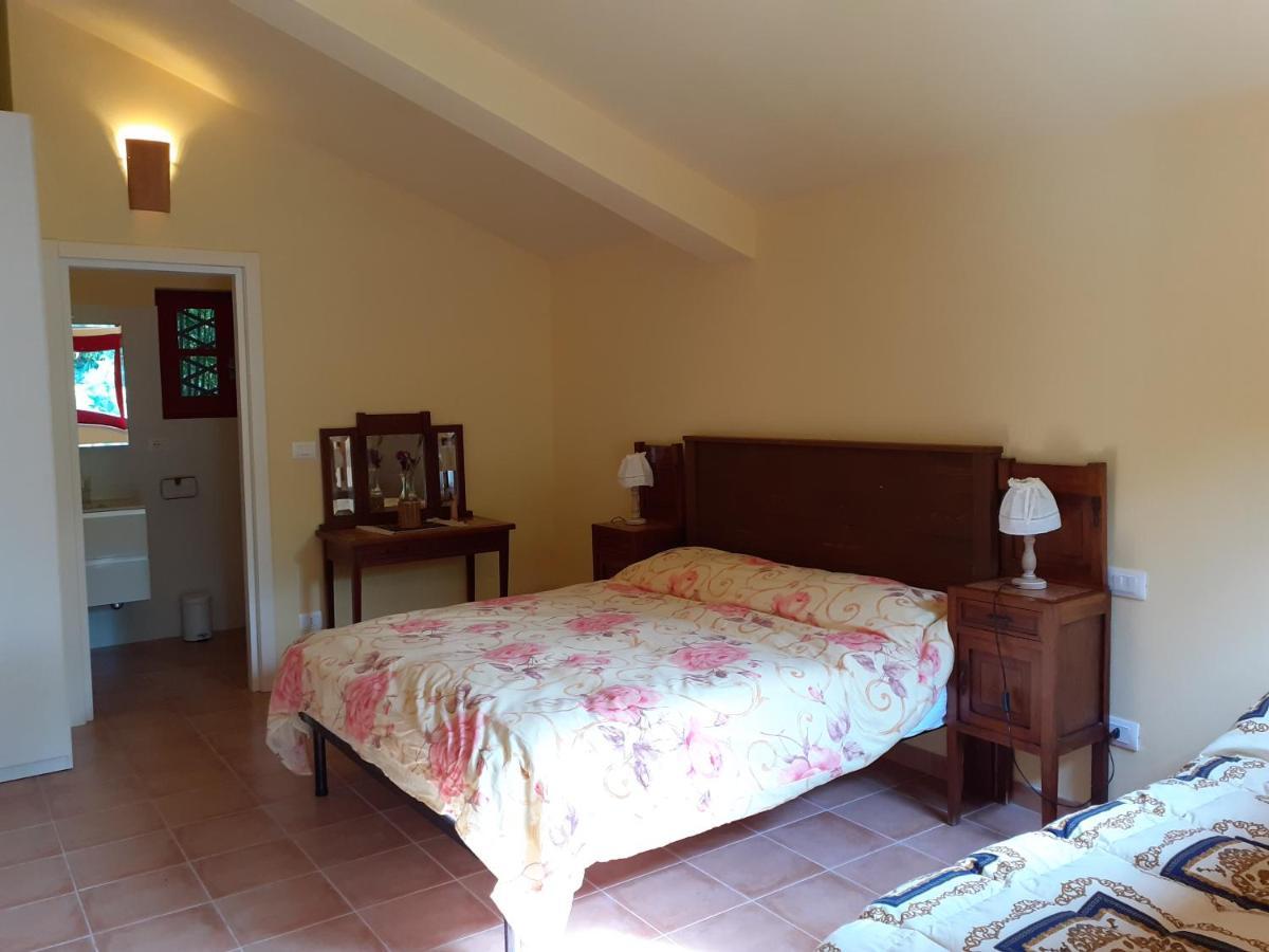 Pier Delle Vigne B&B Pineto Bagian luar foto