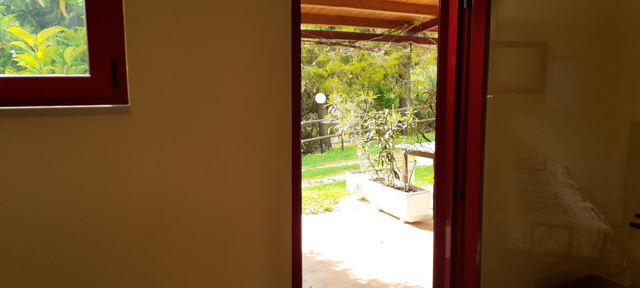Pier Delle Vigne B&B Pineto Bagian luar foto