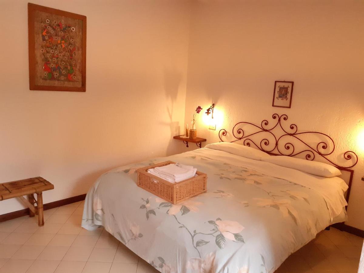 Pier Delle Vigne B&B Pineto Bagian luar foto