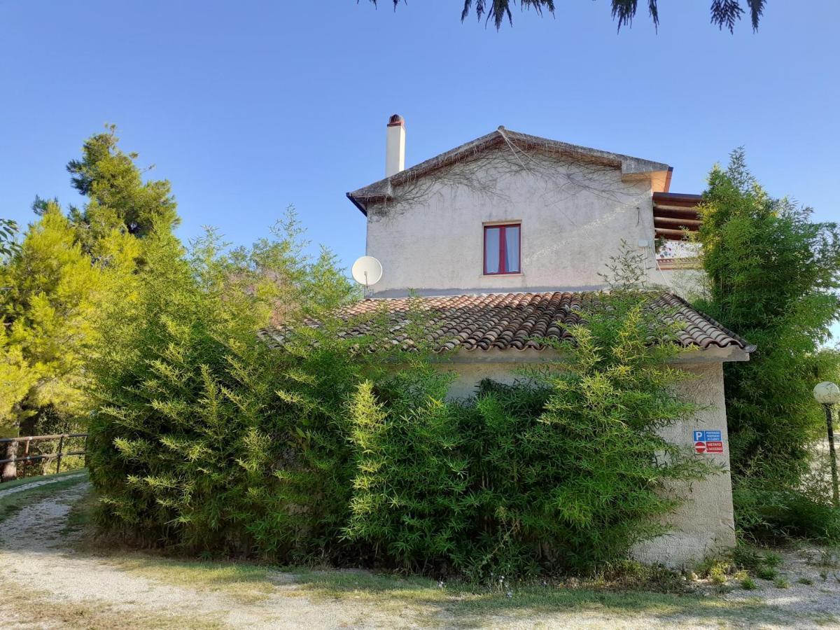Pier Delle Vigne B&B Pineto Bagian luar foto