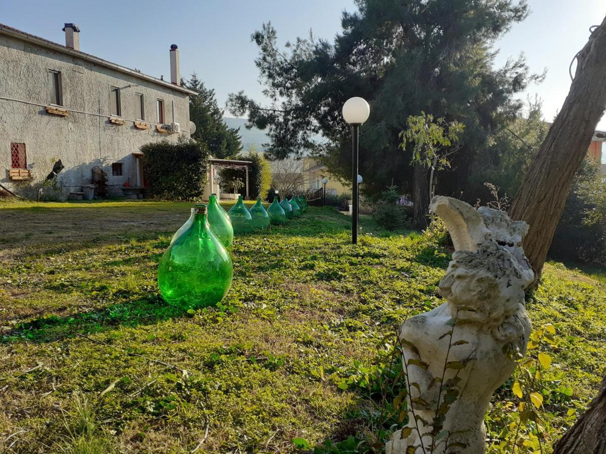 Pier Delle Vigne B&B Pineto Bagian luar foto