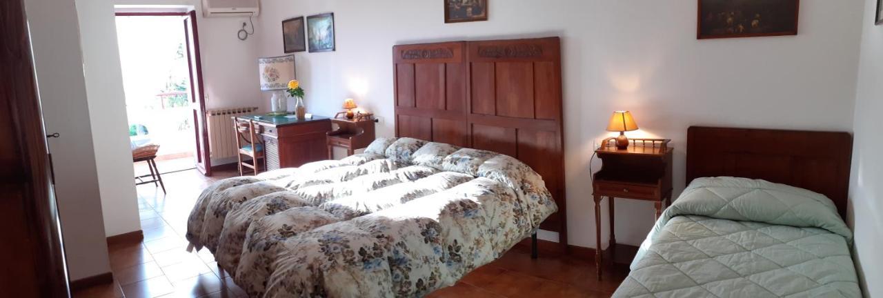 Pier Delle Vigne B&B Pineto Bagian luar foto